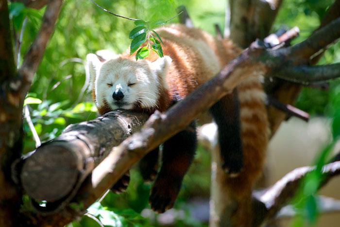 who else wants a good nights rest