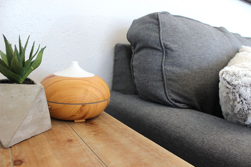 exceptional dentistry table, next to a couch with a plant and round object