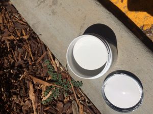 choosing the right dental office paint